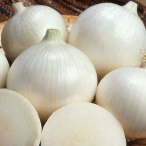 Semillas de Cebolla Blanca