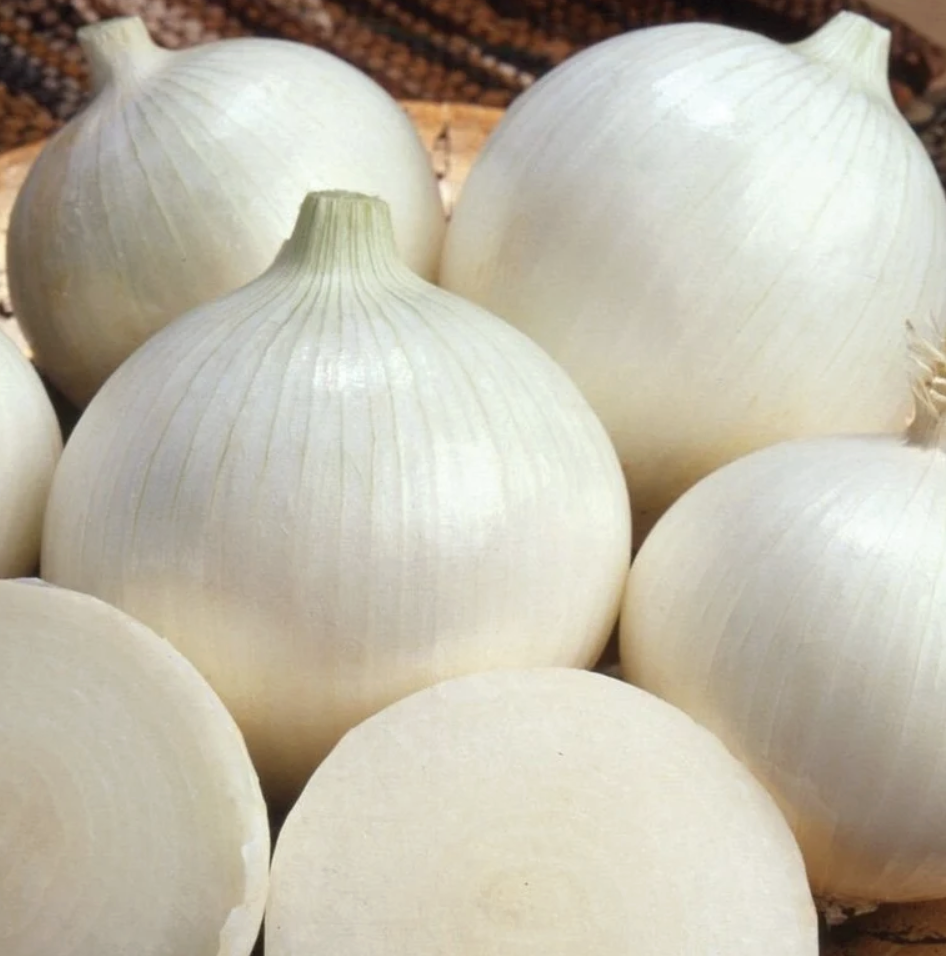 Semillas de Cebolla Blanca