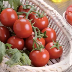 Semillas de Tomate Cherry