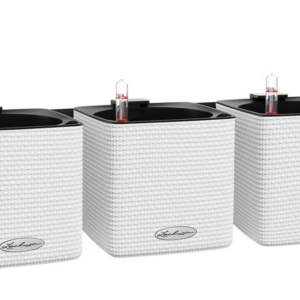 Estructura para particulares